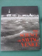 The Science Of Saving Venice - Image 1