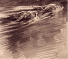Otter Hounds Swimming - Image 1