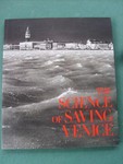 The Science Of Saving Venice