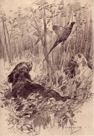 Pheasant Shooting in the Old Style - Image 1